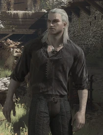 Netflix剧集衬衫 - 适配原版杰洛特 v1.0