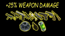 武器伤害提升25% MOD