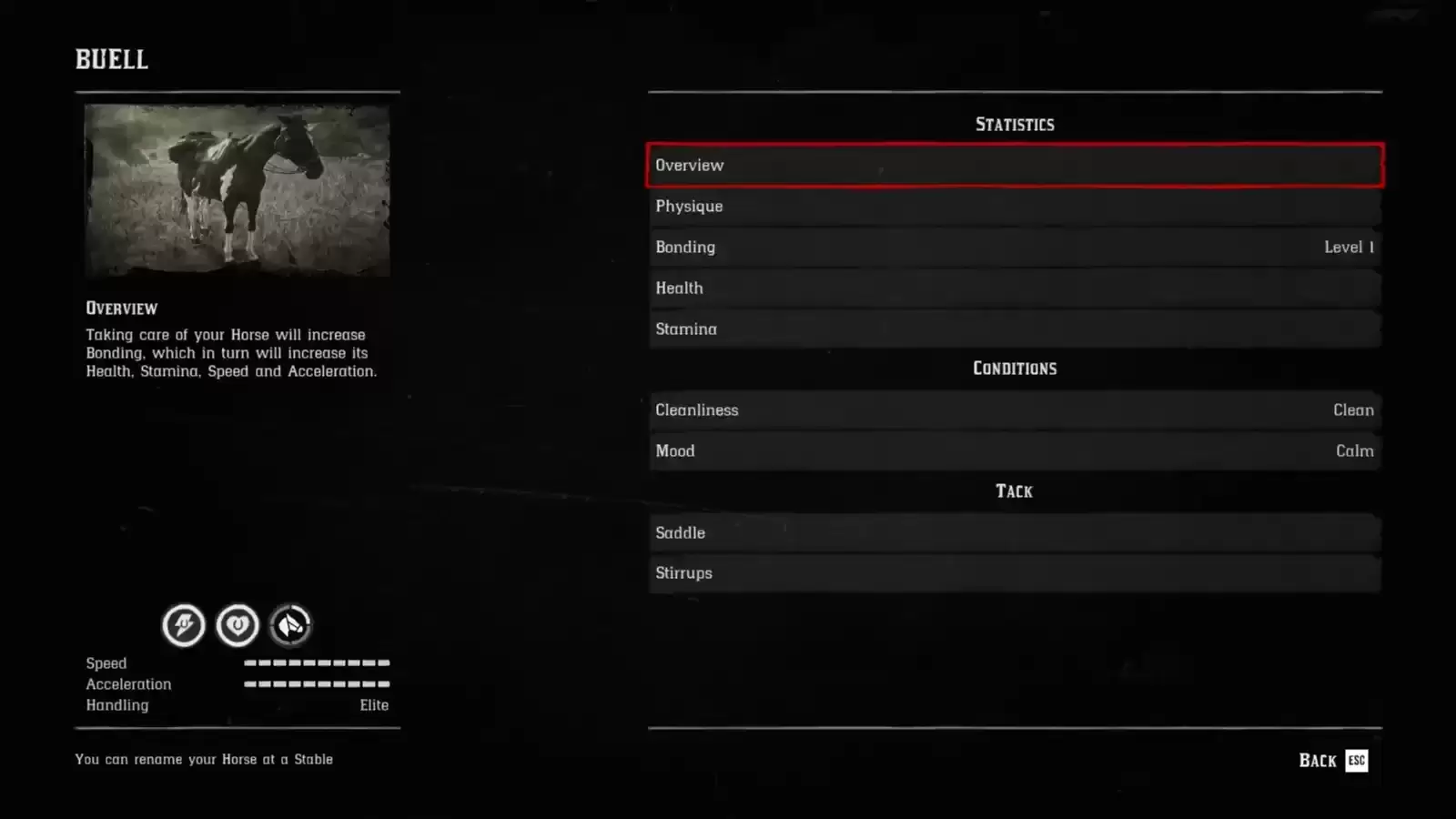 Max Stats For Buell  Buell 的最大统计数据