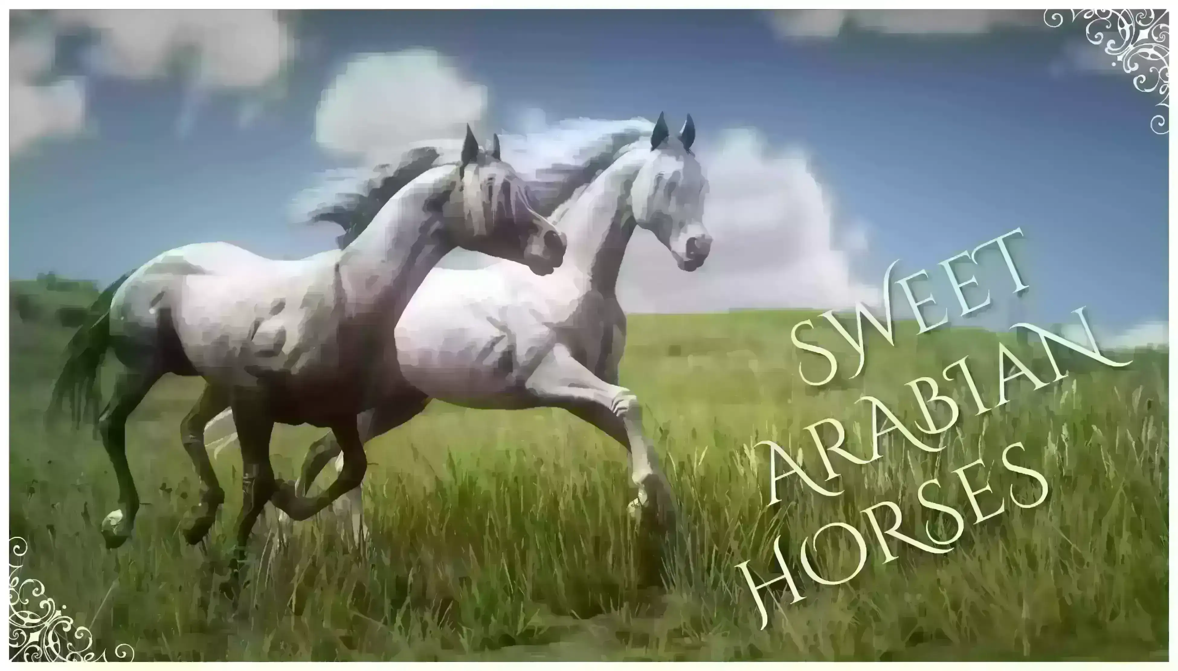 甜美的阿拉伯马 - 新阿拉伯马皮肤