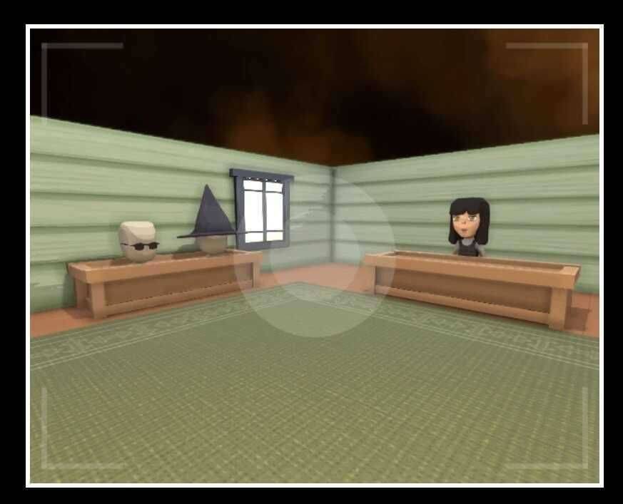 Shutterbug（在室内使用相机）