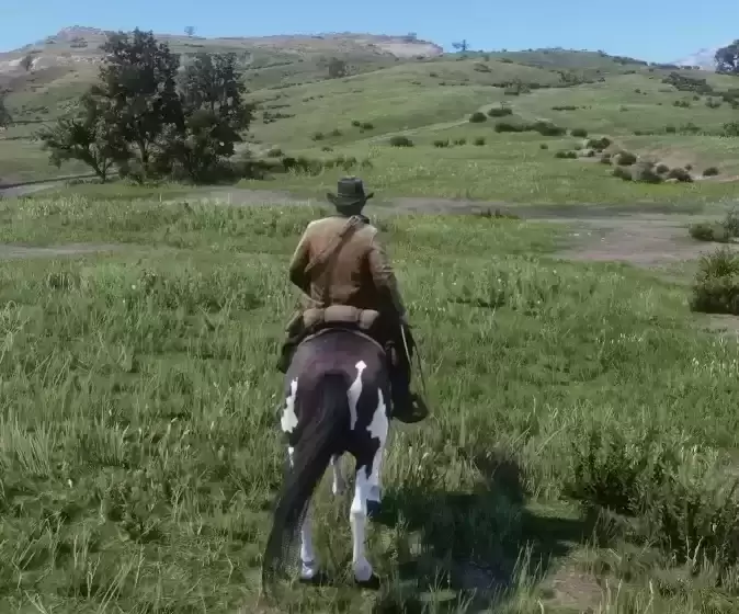 🔗 禁用套索拖行伤害MOD - “人道主义”执法者必备！