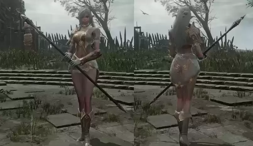 2266.png 🛡️ 推荐!《黑夜君临》跨宇宙装备替换MOD —把其他游戏的神装带到交界地!