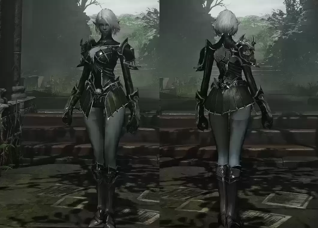 2372.png 🛡️ 推荐!《黑夜君临》跨宇宙装备替换MOD —把其他游戏的神装带到交界地!