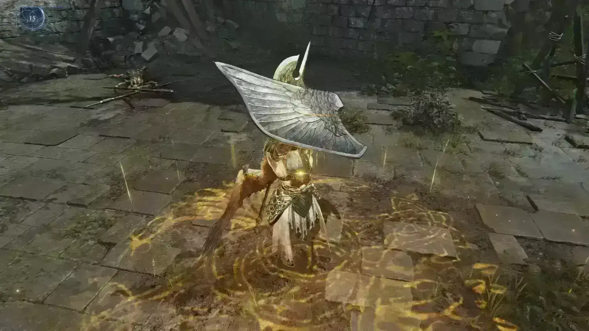 2718.webp ⚡风暴觉醒!艾尔登法环黑夜君临卡利亚重制MOD - 高风险高回报的颠覆性改造