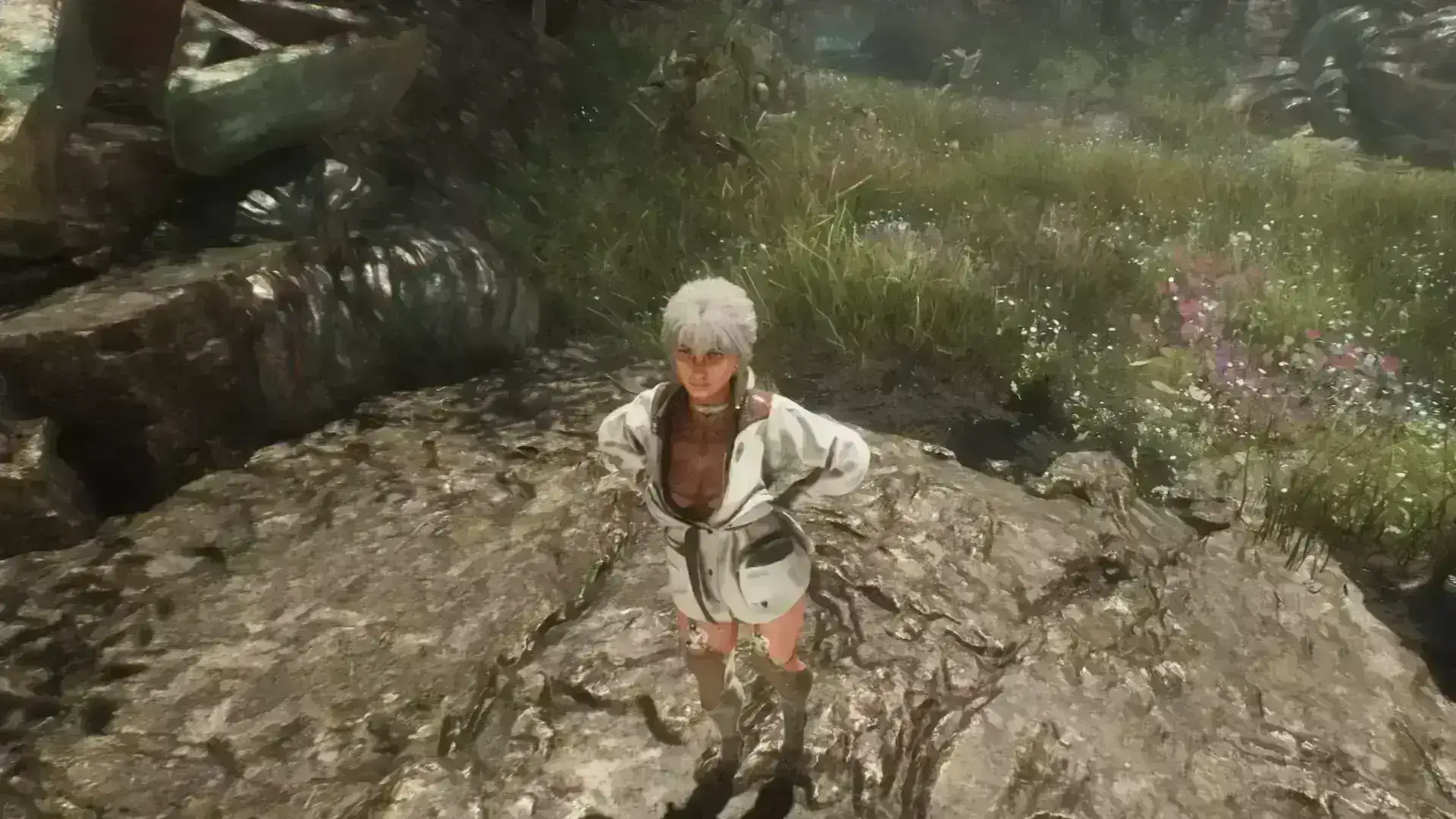 2932.webp 光与影33号远征队MOD:Sciel专属王牌飞行服替换