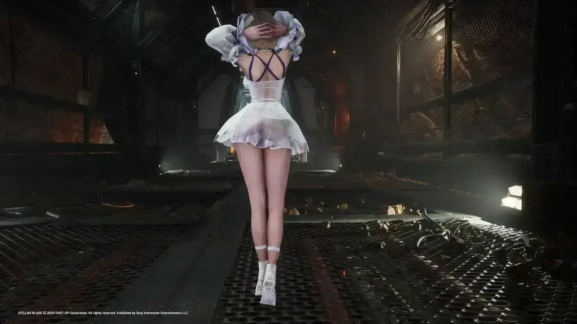 4205.webp 透明优雅礼服 CNS兼容