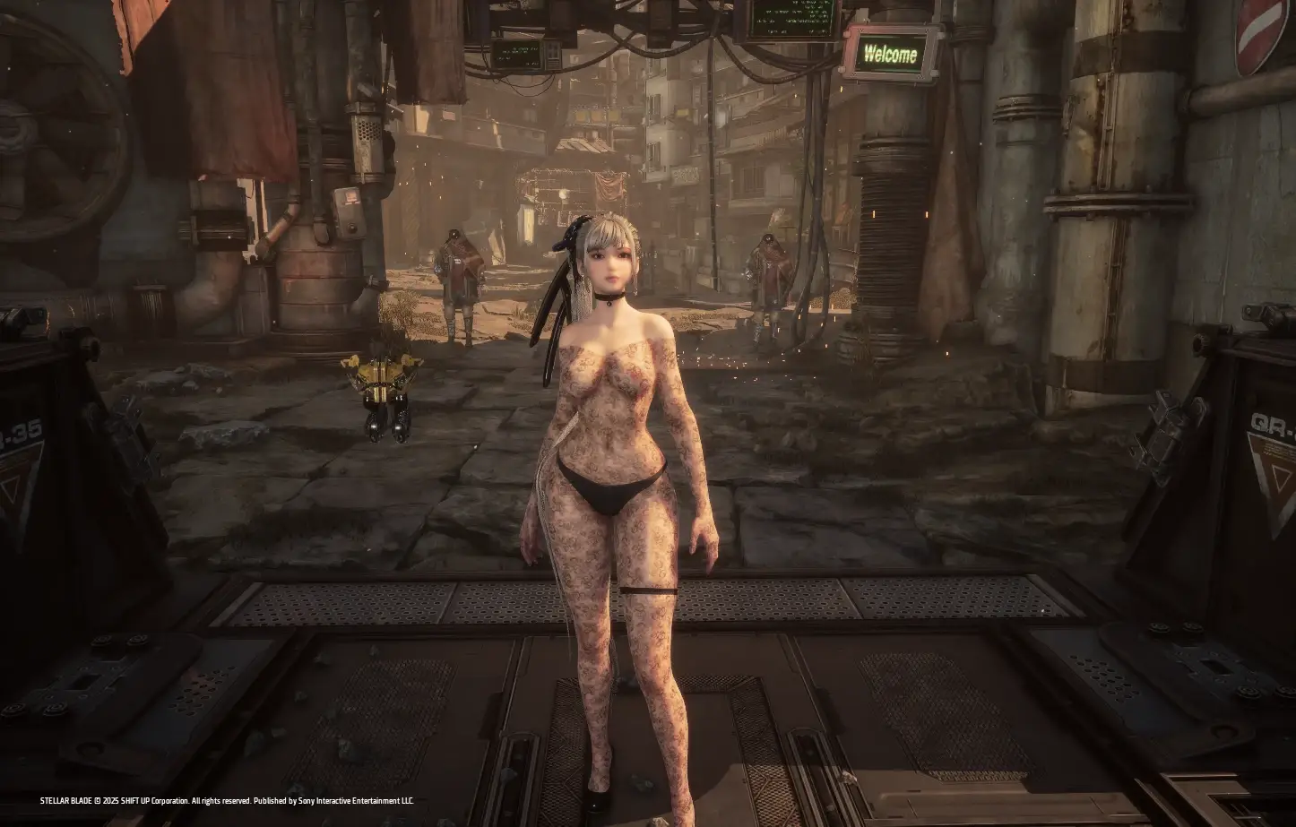 4463.webp 连体袜CNS版