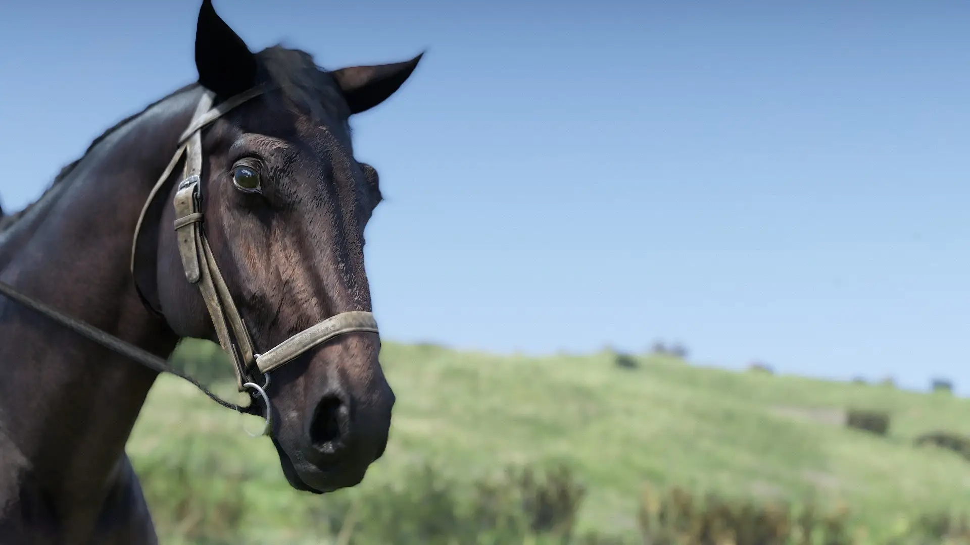 4790.webp Rice Shower The Black Assassin 黑色刺客赛马MOD