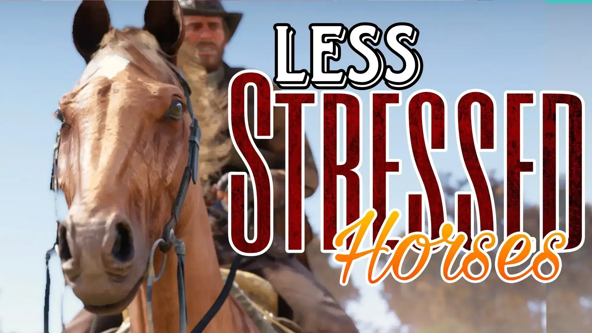 Horse Eye Wrinkle Removal 移除马匹眼部皱纹纹理