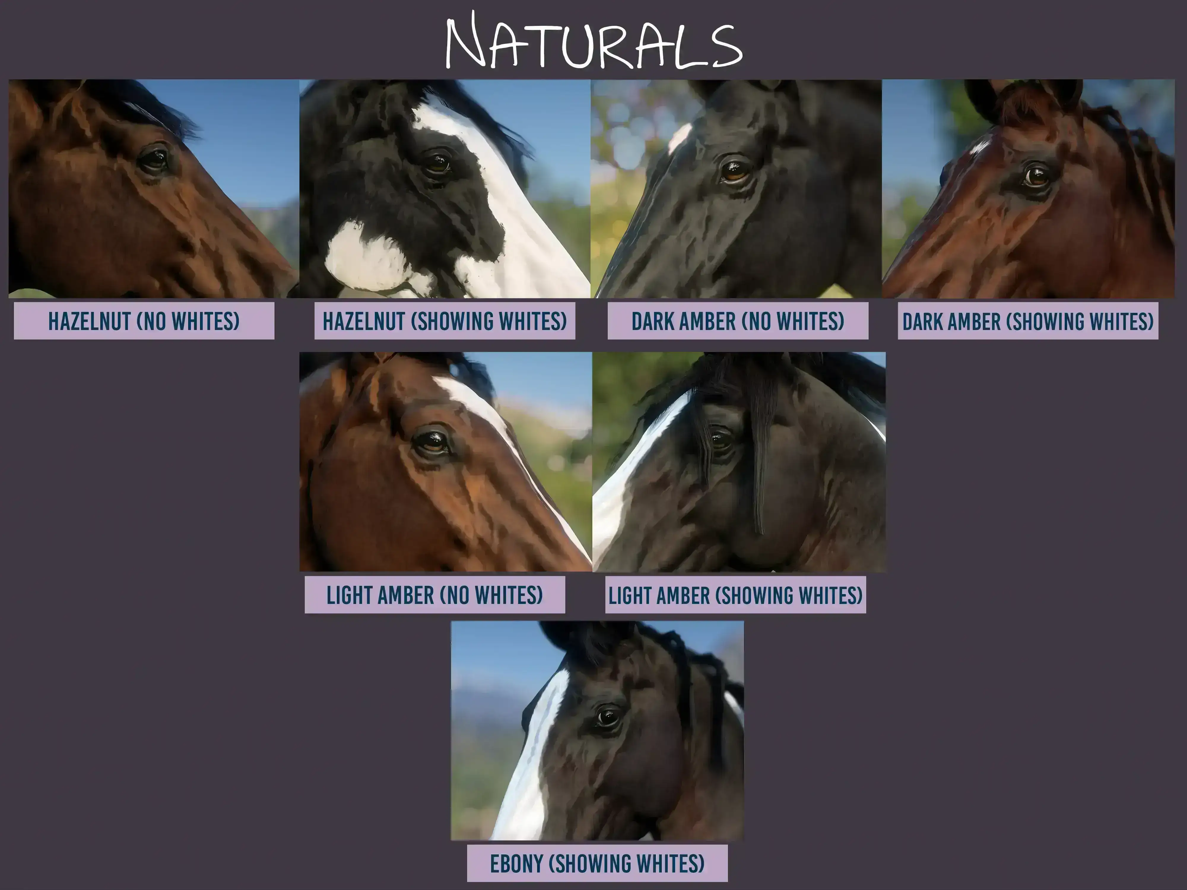 4802.webp Realistic Horse Eyes 真实马眼MOD