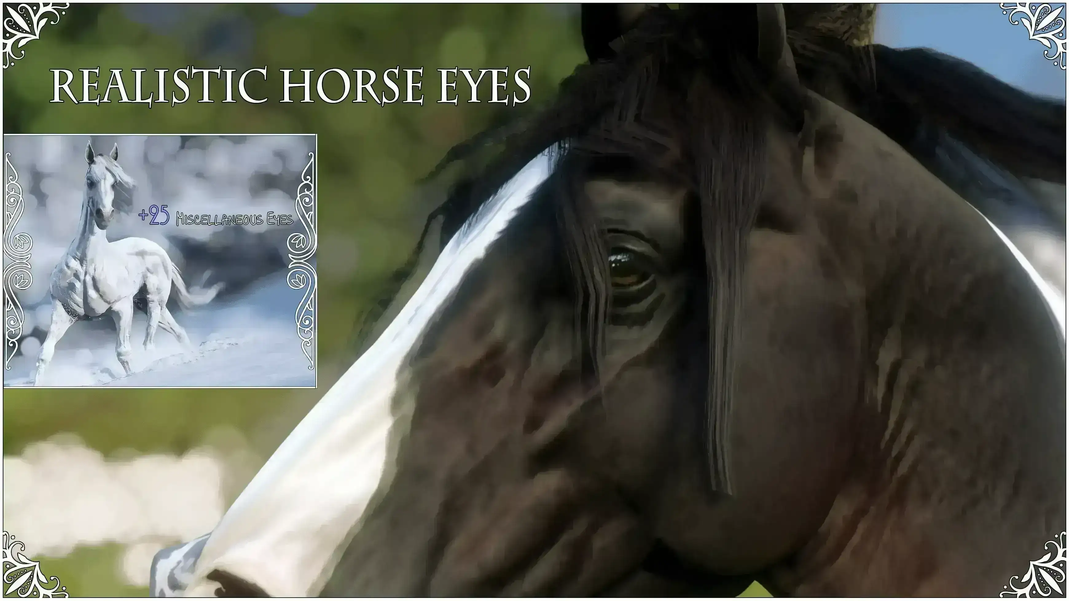 Realistic Horse Eyes 真实马眼MOD