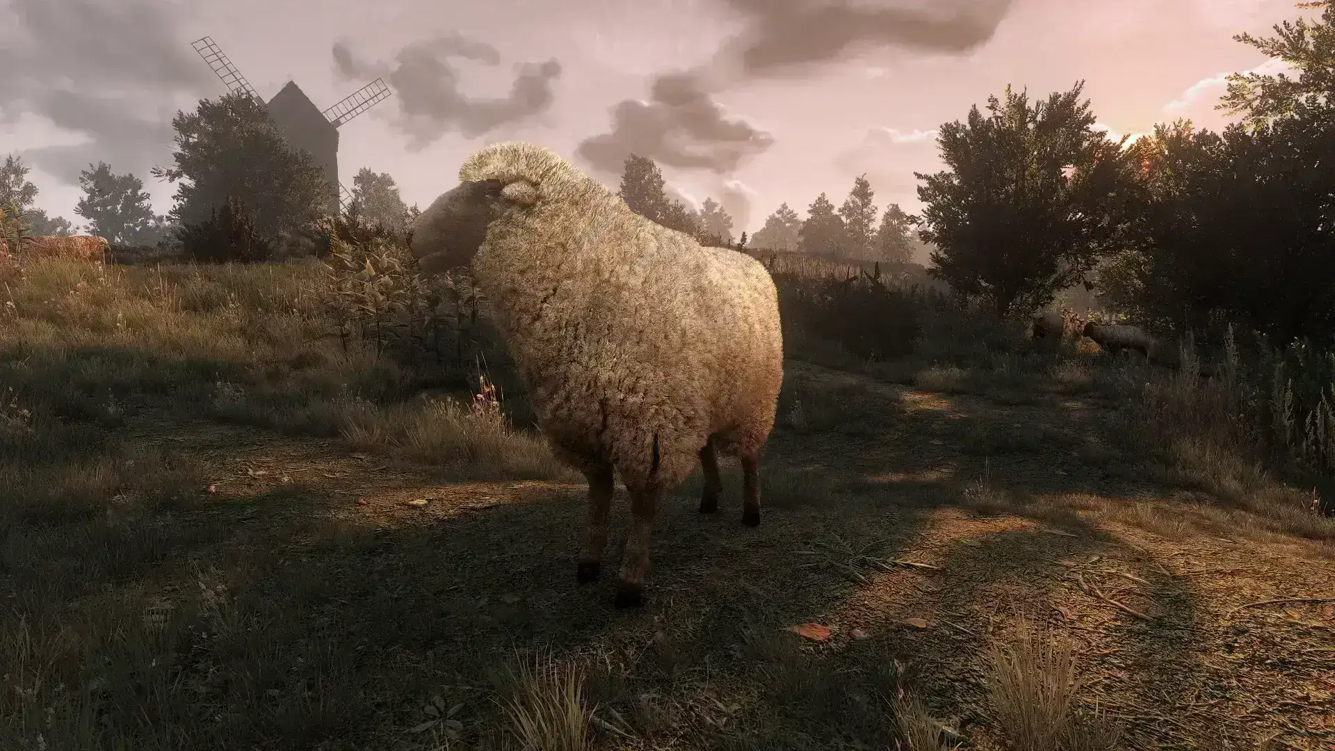 5954.webp 巫师3蓬松动物下一代 - Fluffy Animals Next gen v1.6