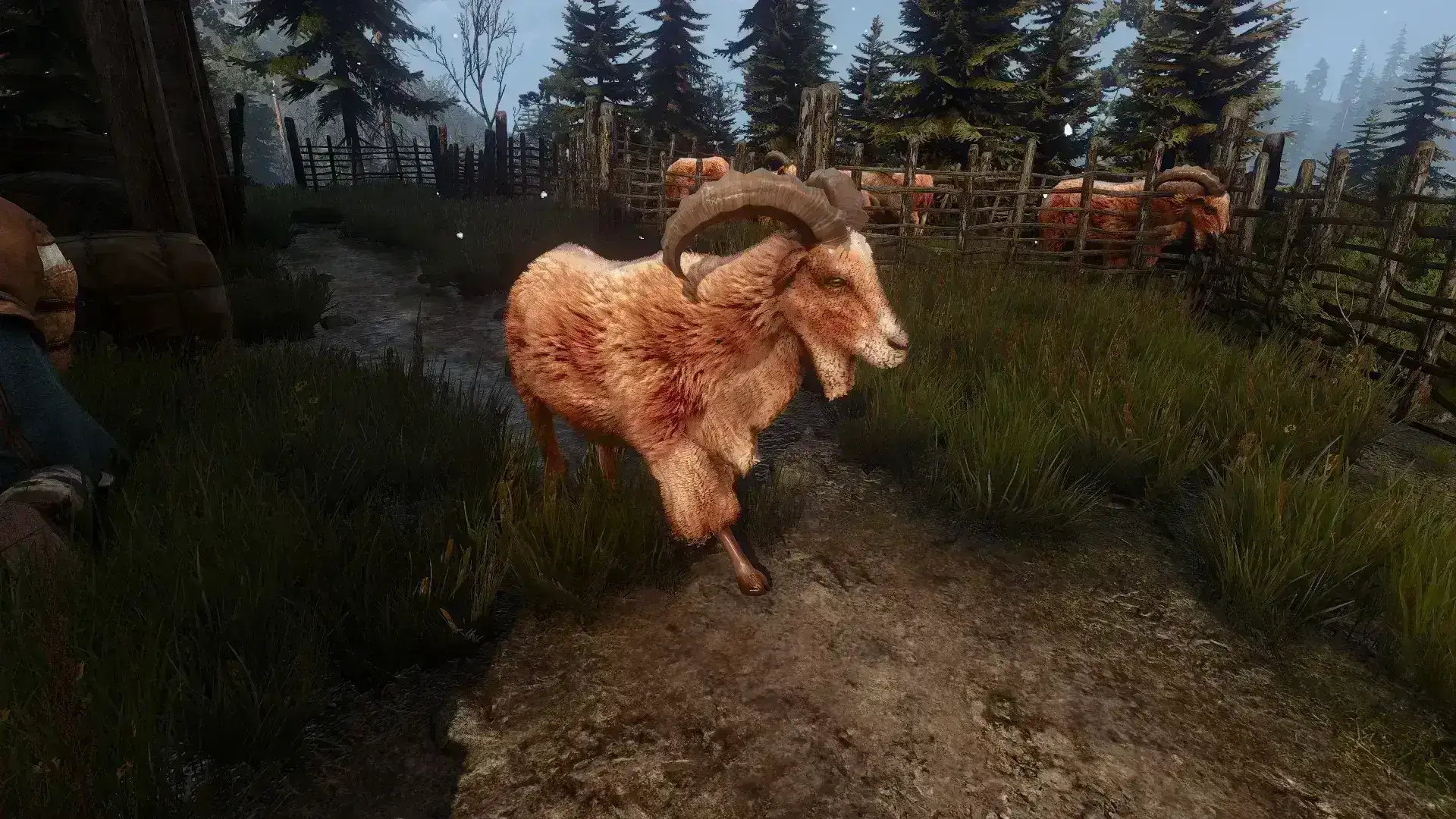 5955.webp 巫师3蓬松动物下一代 - Fluffy Animals Next gen v1.6