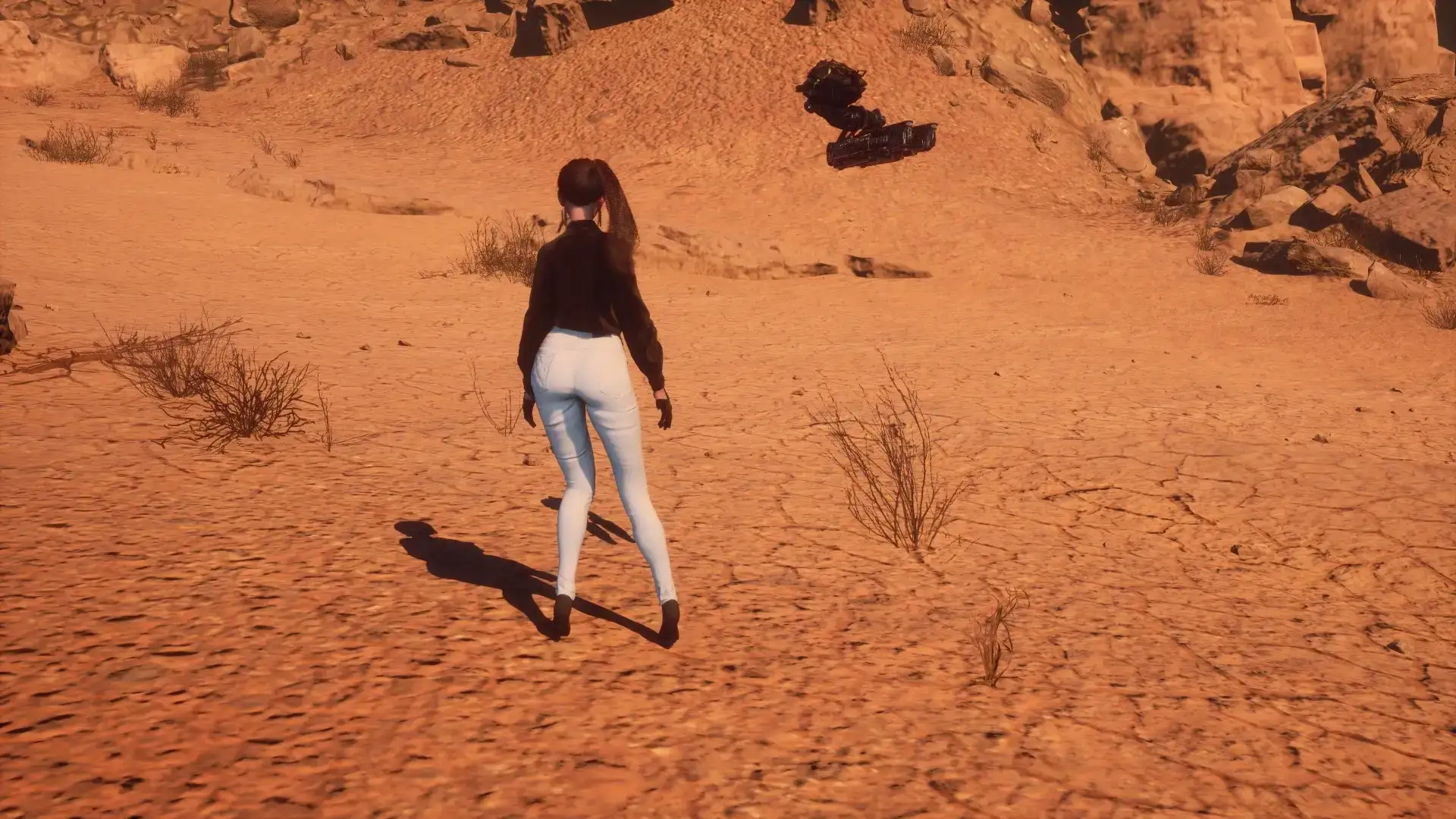 6517.webp 黑色天鹅绒刺客 (CNS支持版)