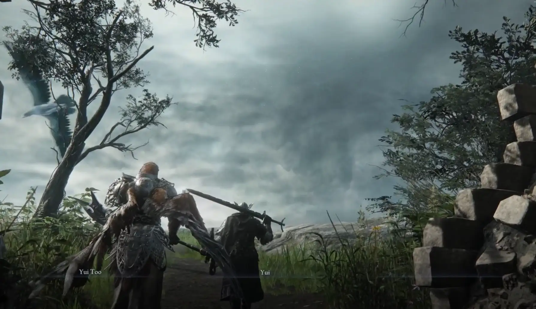 6603.webp 《无缝联机(法环黑夜君临版)》双人版联机(已更新)