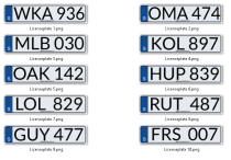 【GTA5必备】瑞典车牌包 For Beginners 2018：让洛圣都街头更真实