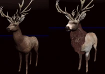 巫师3蓬松动物下一代 - Fluffy Animals Next gen v1.6