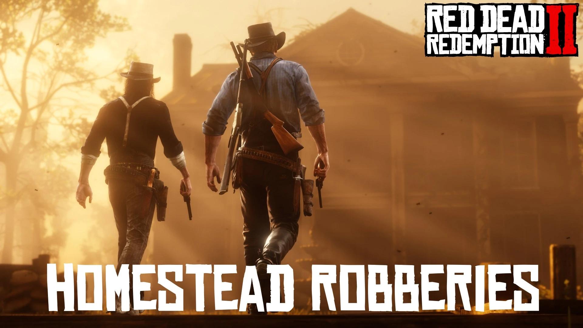 Homestead Robberies家庭抢劫