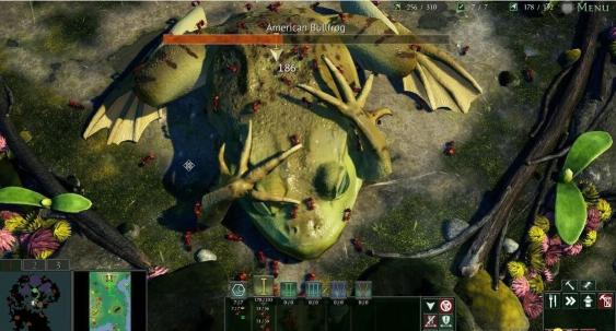 地下蚁国中文学习版（Empires of the Undergrowth）v1.000016