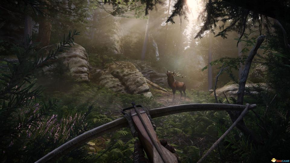 《天国:拯救2中文学习版(Kingdom Come: Deliverance II)》集成DLC 15国语言 学习版 天国2拯救 第3张 《天国:拯救2中文学习版(Kingdom Come: Deliverance II)》集成DLC 15国语言 学习版 天国2拯救 第3张