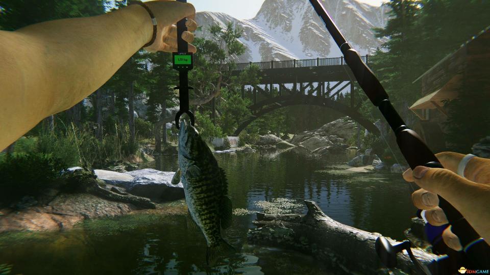 终极钓鱼模拟器2(Ultimate Fishing Simulator 2)中文学习版 学习版 第4张 终极钓鱼模拟器2(Ultimate Fishing Simulator 2)中文学习版 学习版 第4张